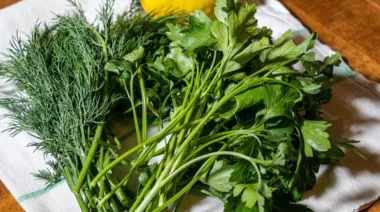 garnishing-instructions-image
